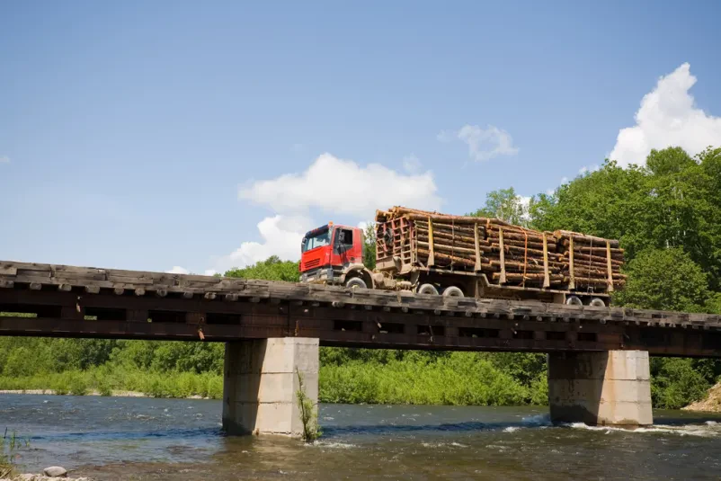 Odkup in transport lesa Žalec, Savinjska