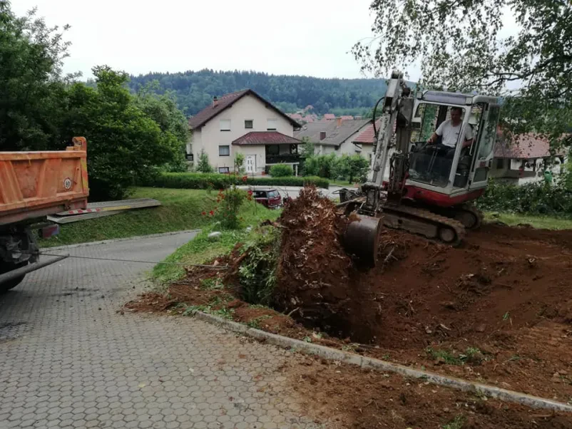 Načrtovanje dvorišč in okolice