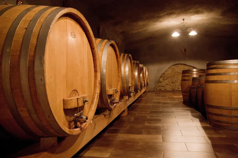 Degustacije vrhunskih vin Sevnica, Posavje