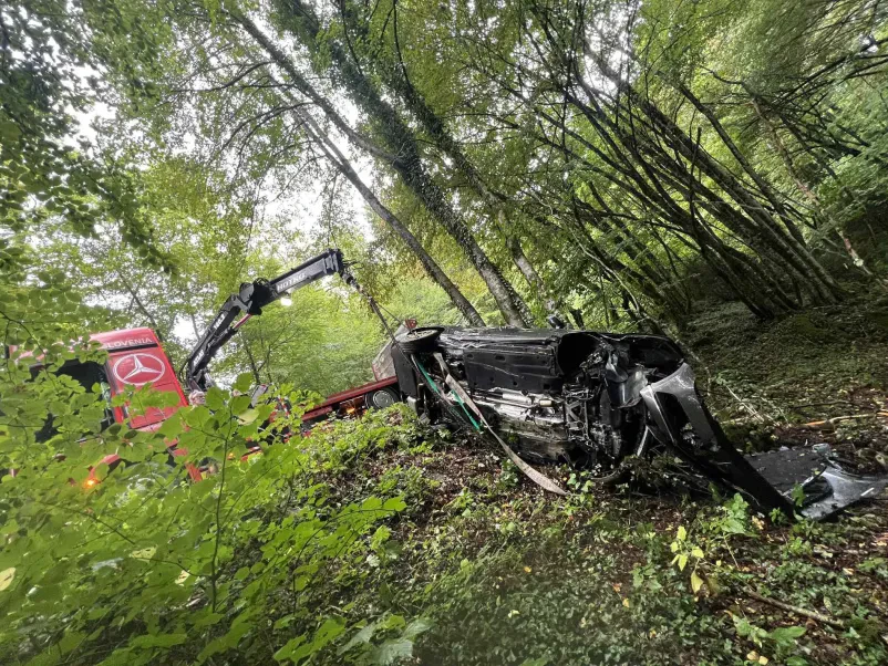 Vlečna služba Posavje