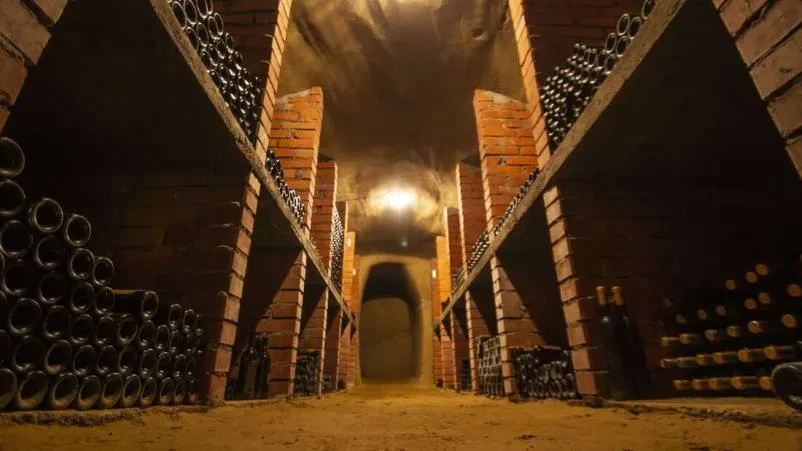 Domača vina Slovenija
