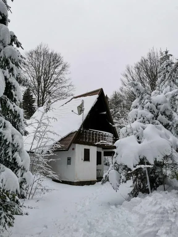 Rent a vacation home in Ilirska Bistrica
