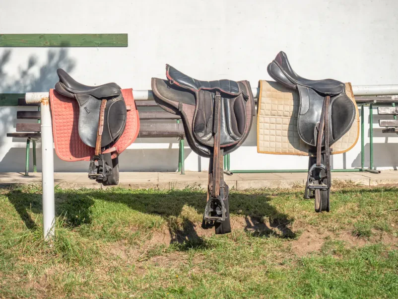 Horse-riding school Gorenjska