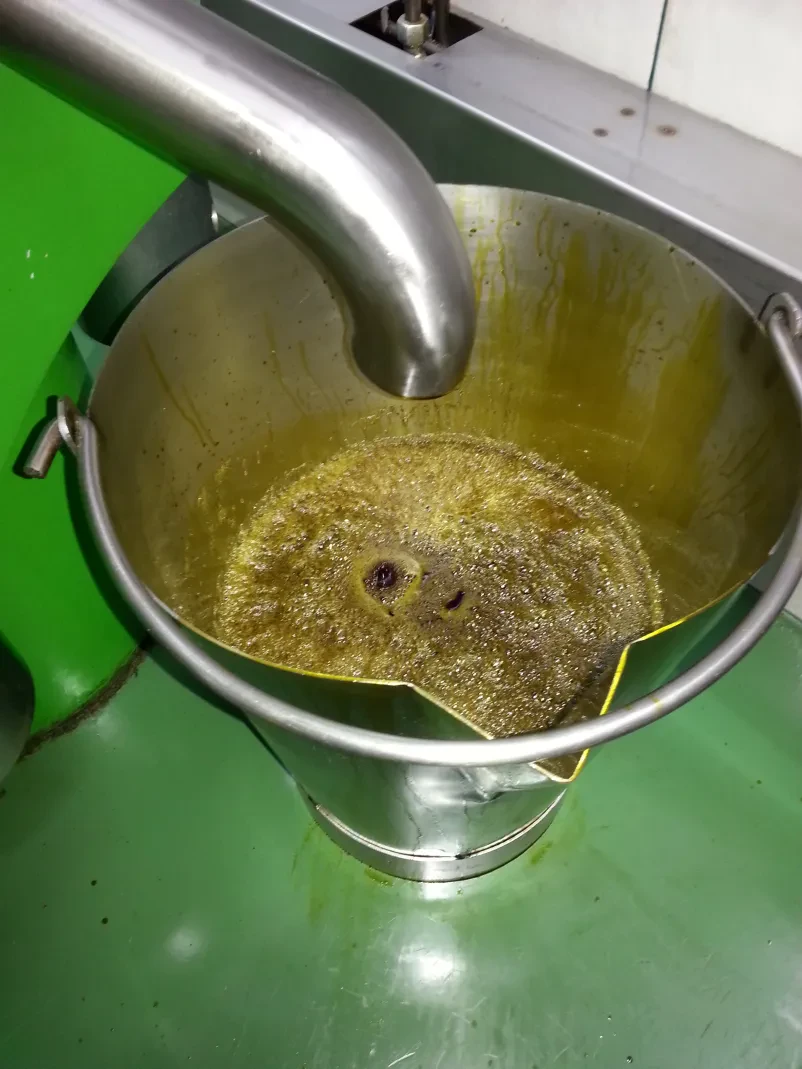 Slovensko bučno olje Rogašovci