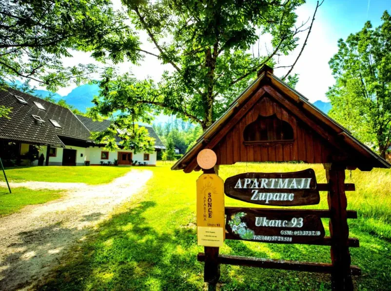 Ugoden najem družinskega apartmaja Jezero Bohinj, Gorenjska