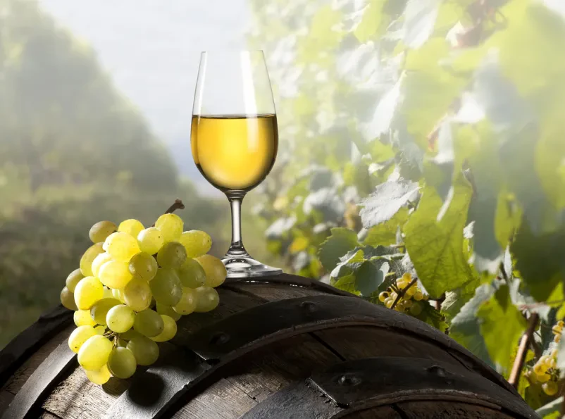 Domača kulinarika in mesni izdelki Podlehnik