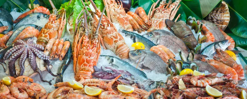 Trattoria del pascatore Capodistria