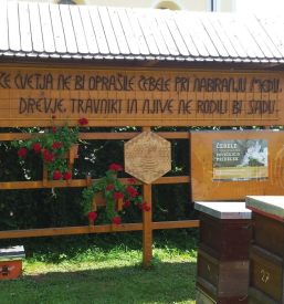 Čebelji izdelki