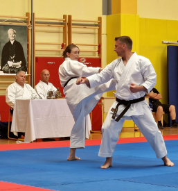 Tradicionalni karate Ilirska Bistrica