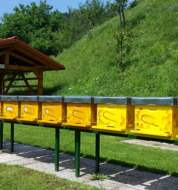 Čebelnjaki