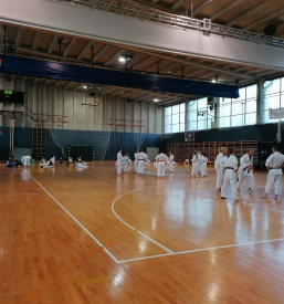 Karate Sežana