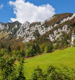 Okrepčevalnica Bohinjsko jezero