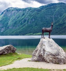 Prenočišča in hrana Gorenjska