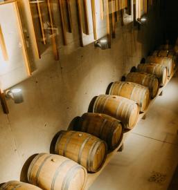 Vino Kungota