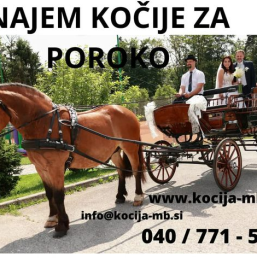 Najem kočije za poroko