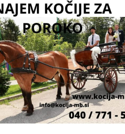 Najem kočije za poroko v Mariboru