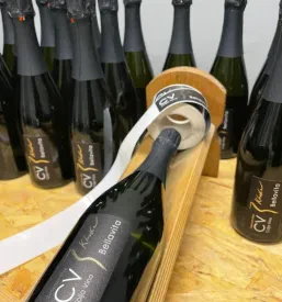 Degustacije vin in vinska klet Kras