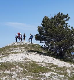 vodnik po planinah