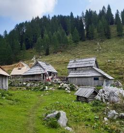 sprehajanje po planinah