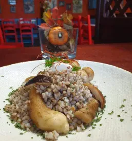 A la carte kosila Velenje