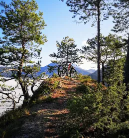 Ausflüge mit dem Mountainbike