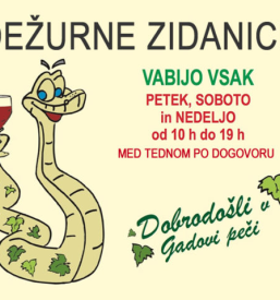 Degustacija domačih vin Dolenjska