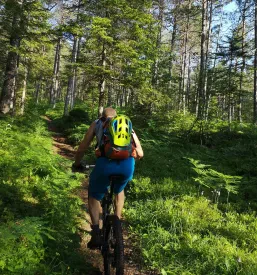 Mountainbiketouren in der Natur