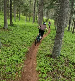 Mountainbiketouren in den Wäldern