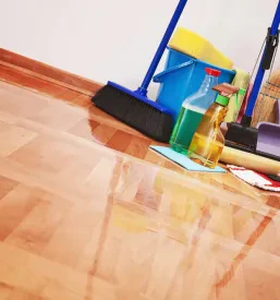 Ugodna čistila Črnomelj, Bela krajina