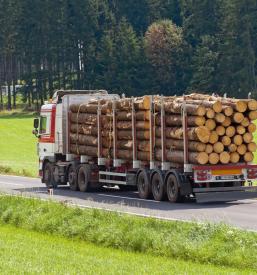 Purchase wood in Slovenia