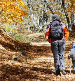 Guide on trails and hikes in Slovenia