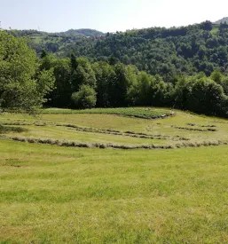Jagode na domu Ljubljana z okolico