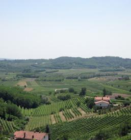 Prodaja in degustacija domačih vin