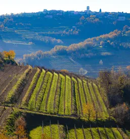 Turistično društvo Goriška