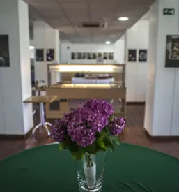 nočitve z zajtrkom
