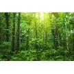 Turistično društvo Loška dolina