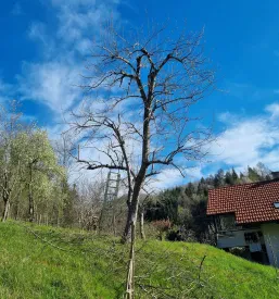 Vrtnarstvo Goriška