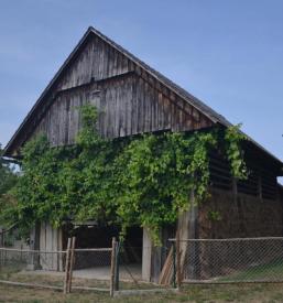 Dobra ekološka turistična kmetija Cerknica