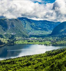 Urejanje gozdov in pašništvo Agrarna skupnost Bohinj