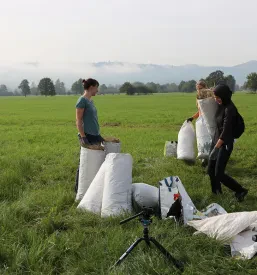 Raziskovanje ptic in narave Slovenija