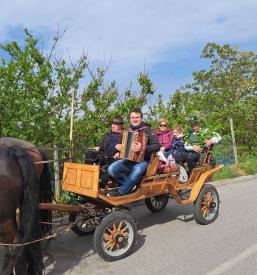 Turistični dogodki in prireditve Zdole, Krško