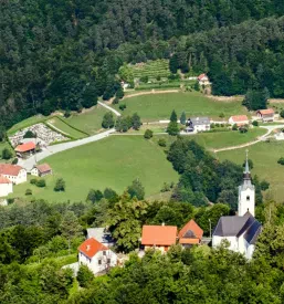 Planinsko društvo Savinjska