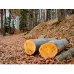 Agrarna skupnost Ritomeče