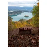Maša Povšin s.p.