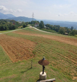 Planinsko društvo Loče