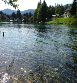 jezero