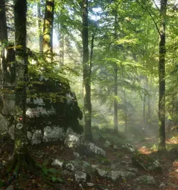 Planinci Kočevje