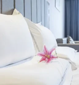 Sobe za skupine Brežice