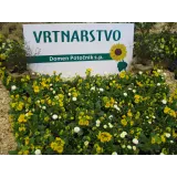 Vrtnarstvo-cvetličarstvo Domen Potočnik s.p.