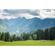 Kranjsko gozdarsko društvo